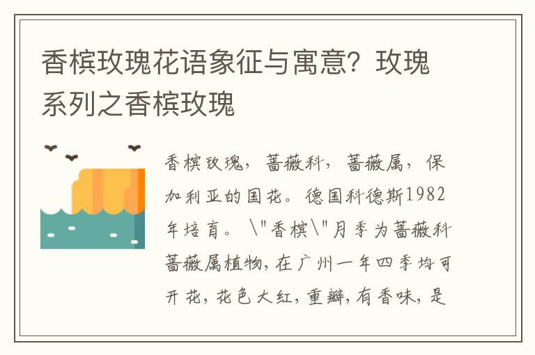 香槟玫瑰花语象征与寓意？玫瑰系列之