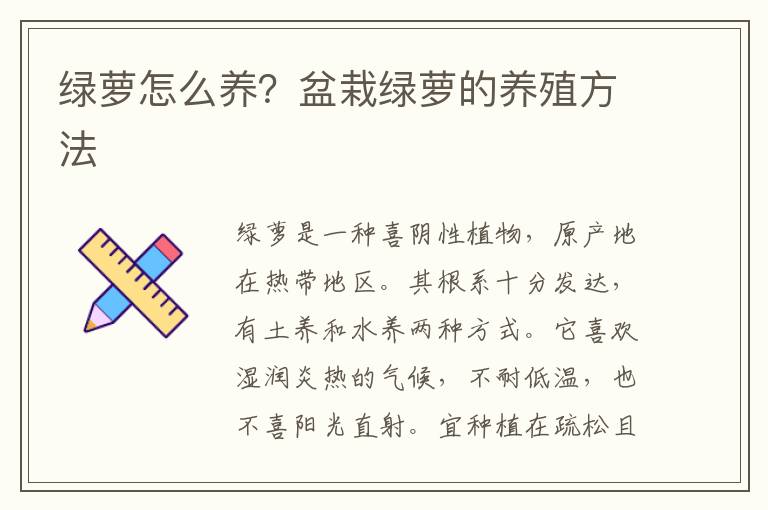 绿萝怎么养？盆栽绿萝的养殖方法