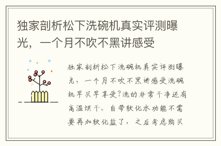 独家剖析松下洗碗机真实评测曝光，一个月不吹不黑讲感受