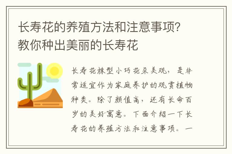 长寿花的养殖方法和注意事项？教你种出美丽的长寿花