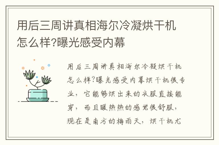 用后三周讲真相海尔冷凝烘干机怎么样?曝光感受内幕