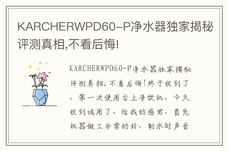 KARCHERWPD60-P净水器独家揭秘评测真相,不看后悔!