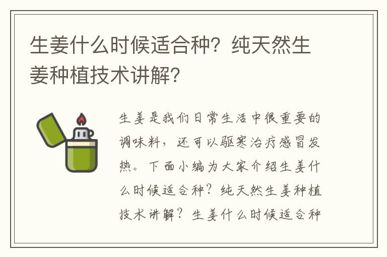 生姜什么时候适合种？纯天然生姜种植技术讲解？