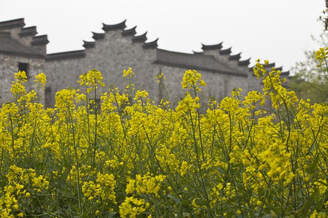 杭州三日游最佳安排？假期杭州三日两夜经典游