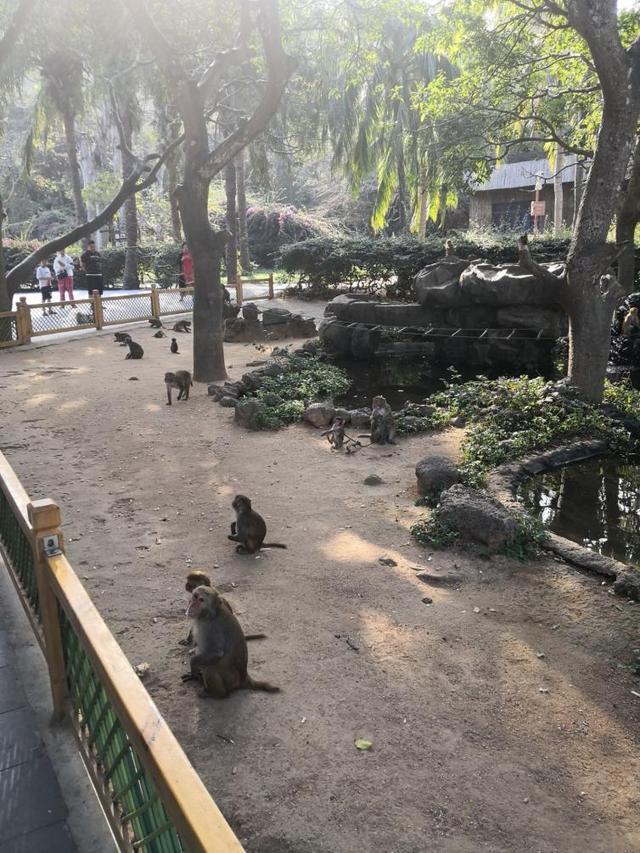 海南自驾游最佳路线？海南东线自驾游9大沿途美景