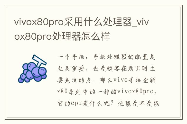 vivox80pro采用什么处理器_vivox80pro处理器怎么样