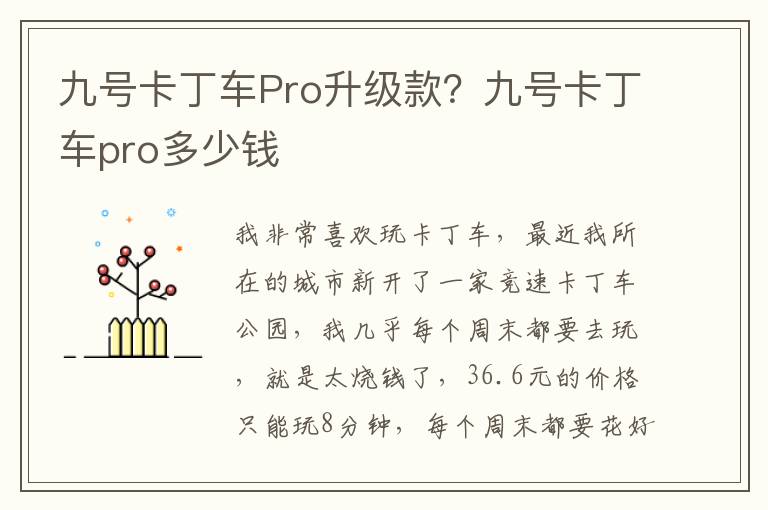 九号卡丁车Pro升级款？九号卡丁车pro多少钱