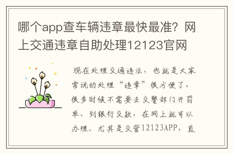 哪个app查车辆违章最快最准？网上交通违章自助处理12123官网