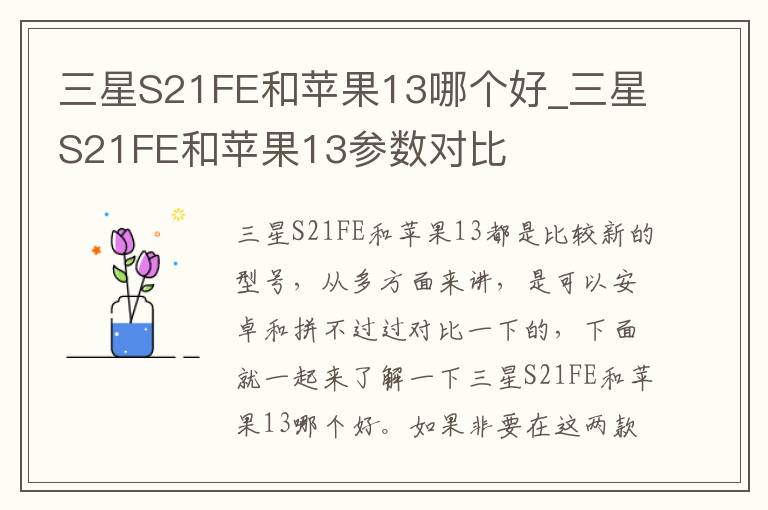 三星S21FE和苹果13哪个好_三星S21FE和苹果13参数对比