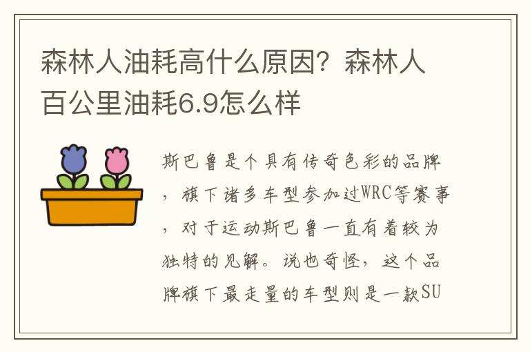 森林人油耗高什么原因？森林人百公里油耗6.9怎么样