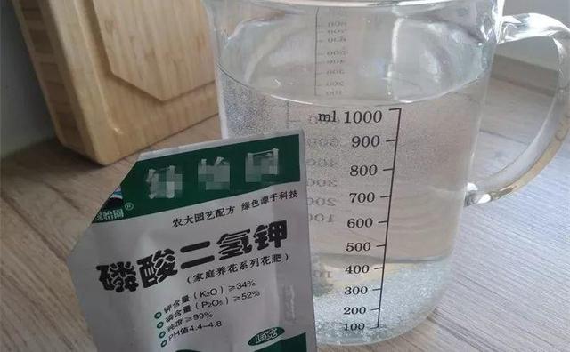 4种在家就能制作的肥料？在家怎么制作花肥