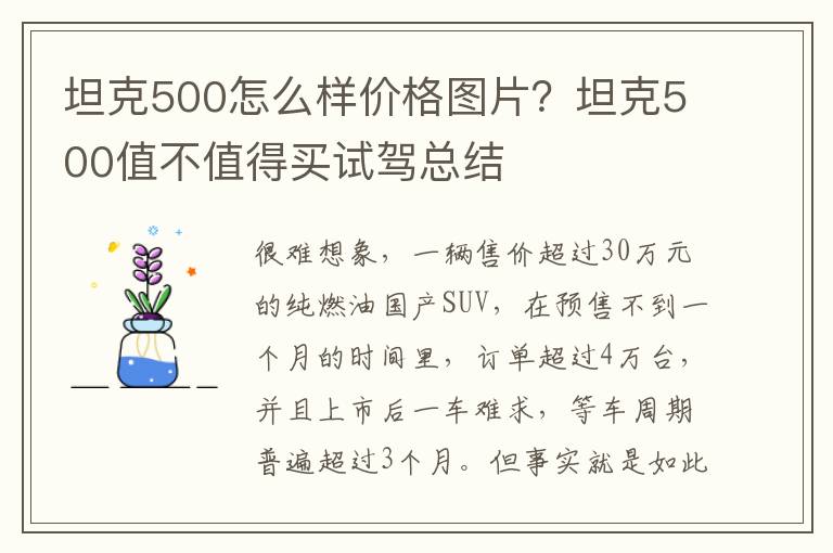 坦克500怎么样价格图片？坦克500值不值得买试驾总结