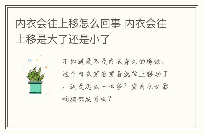 内衣会往上移怎么回事 内衣会往上移是大了还是小了