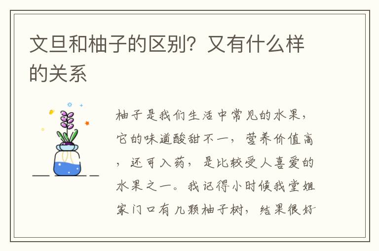 文旦和柚子的区别？又有什么样的关系