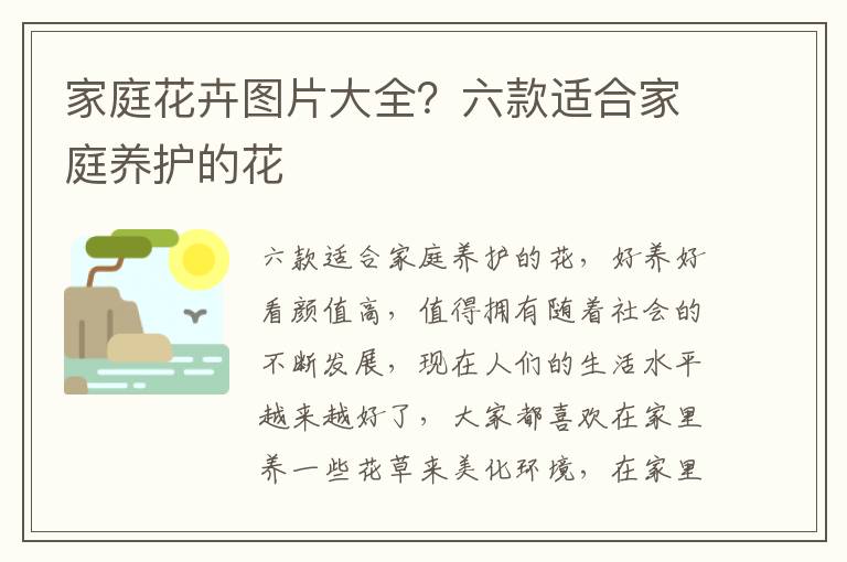 家庭花卉图片大全？六款适合家庭养护