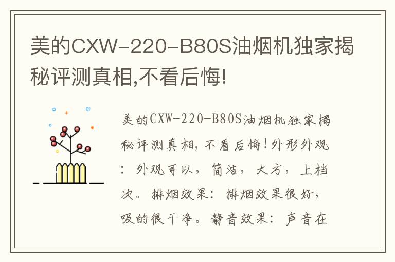 美的CXW-220-B80S油烟机独家揭秘评测真相,不看后悔!