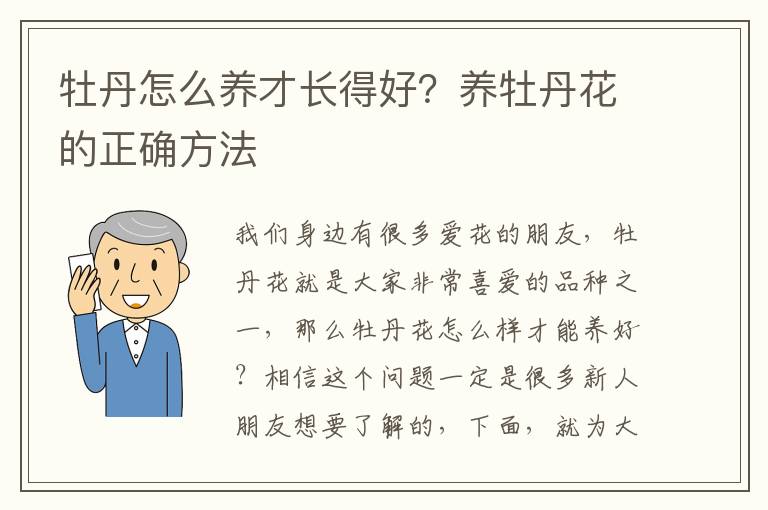 牡丹怎么养才长得好？养牡丹花的正确方法