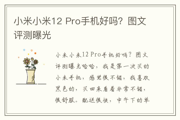 小米小米12 Pro手机好吗？图文评测曝光