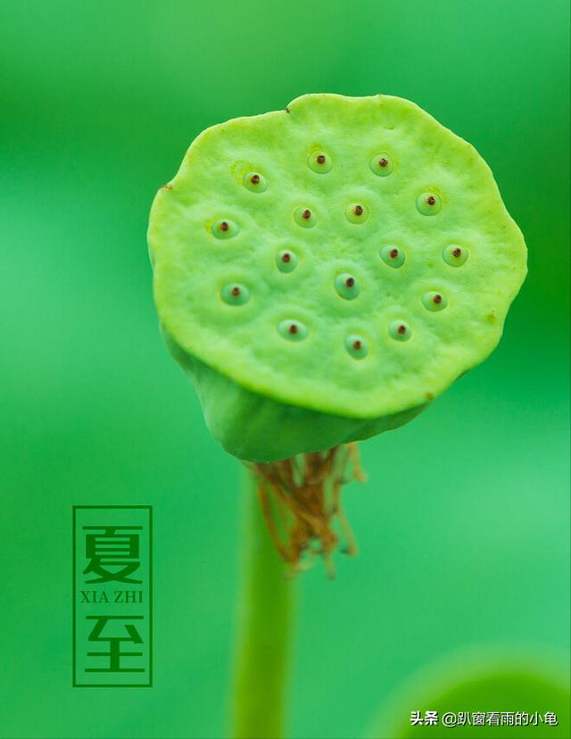 夏至吃什么传统美食？夏至必吃的美食