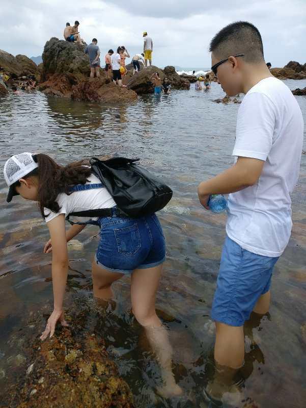 深圳一日游报团？深圳一日游最佳攻略