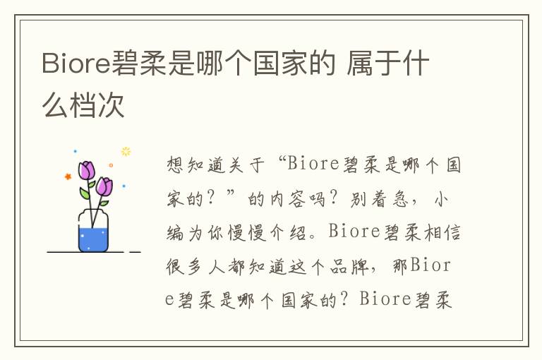 Biore碧柔是哪个国家的 属于什么档次