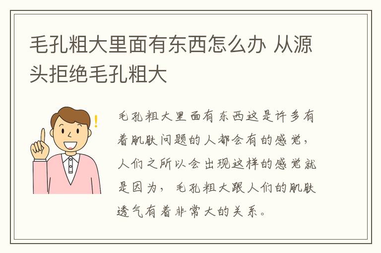 毛孔粗大里面有东西怎么办 从源头拒绝毛孔粗大