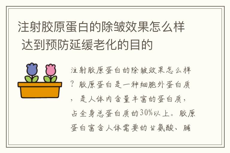 注射胶原蛋白的除皱效果怎么样 达到预防延缓老化的目的