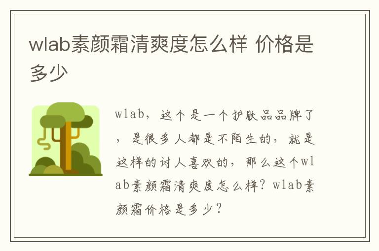 wlab素颜霜清爽度怎么样 价格是多少